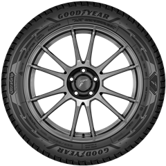 255/45 R21 Goodyear UltraGrip Performance 3 106V